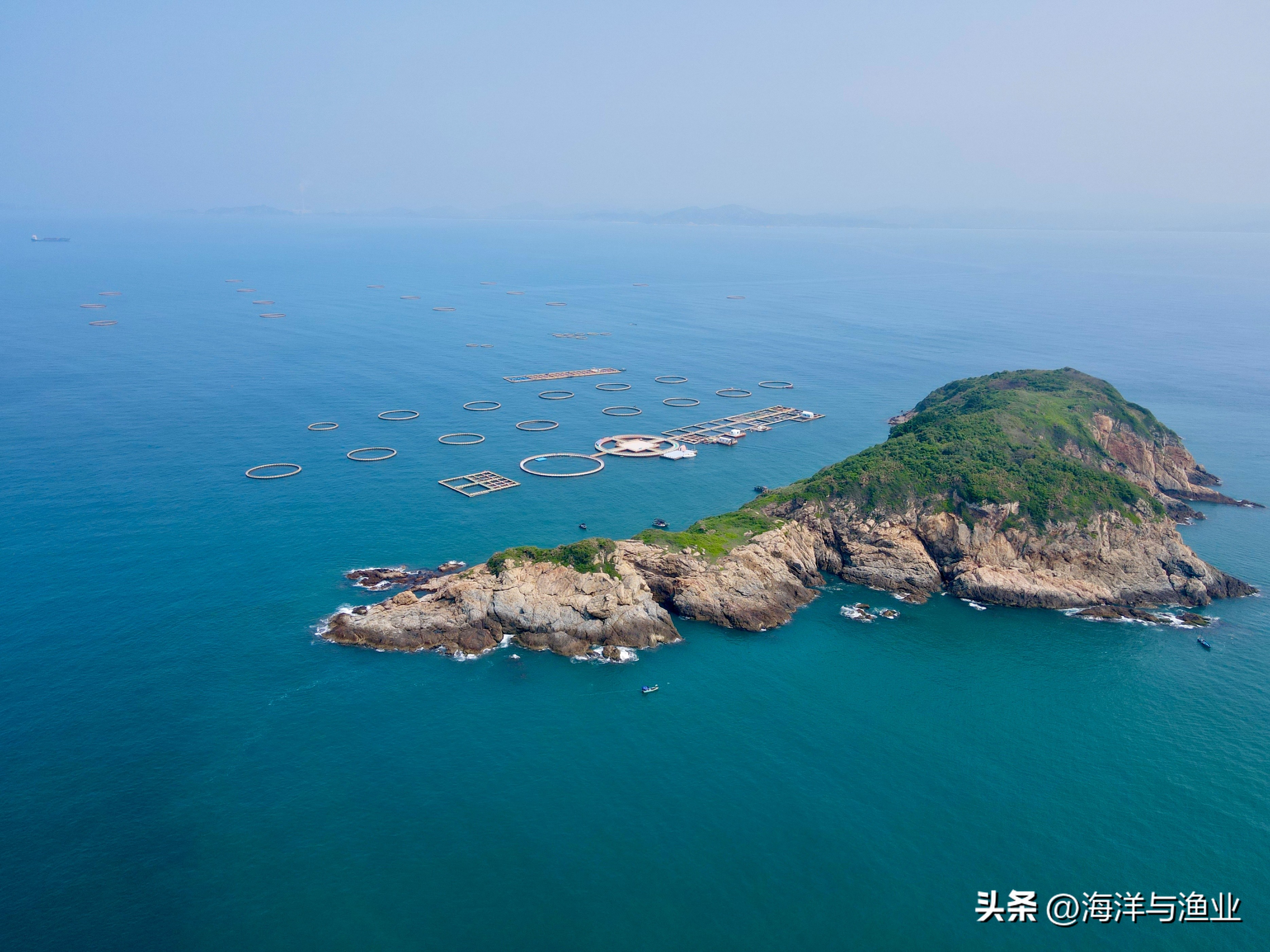 广东建设海洋牧场的优势,建设一批国家级海洋牧场示范区