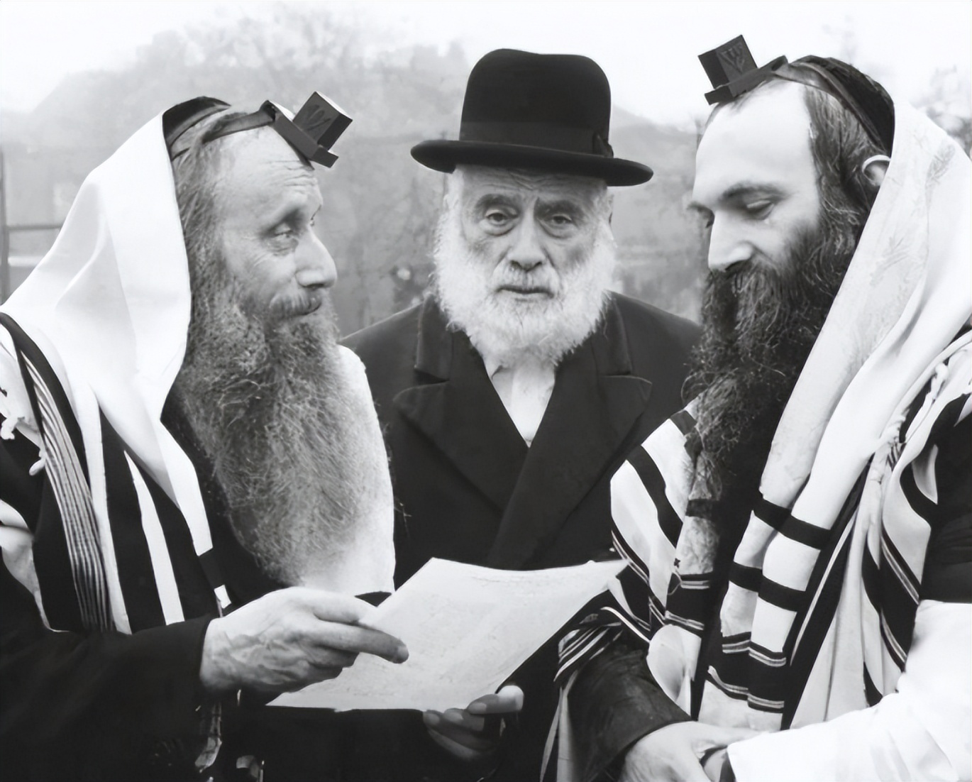 鍦ㄦ渤鍗楄鍚屽寲鐨勭姽澶汉,娌冲崡琚悓鍖栫姽澶汉鍚庝唬闀跨浉鐗瑰緛