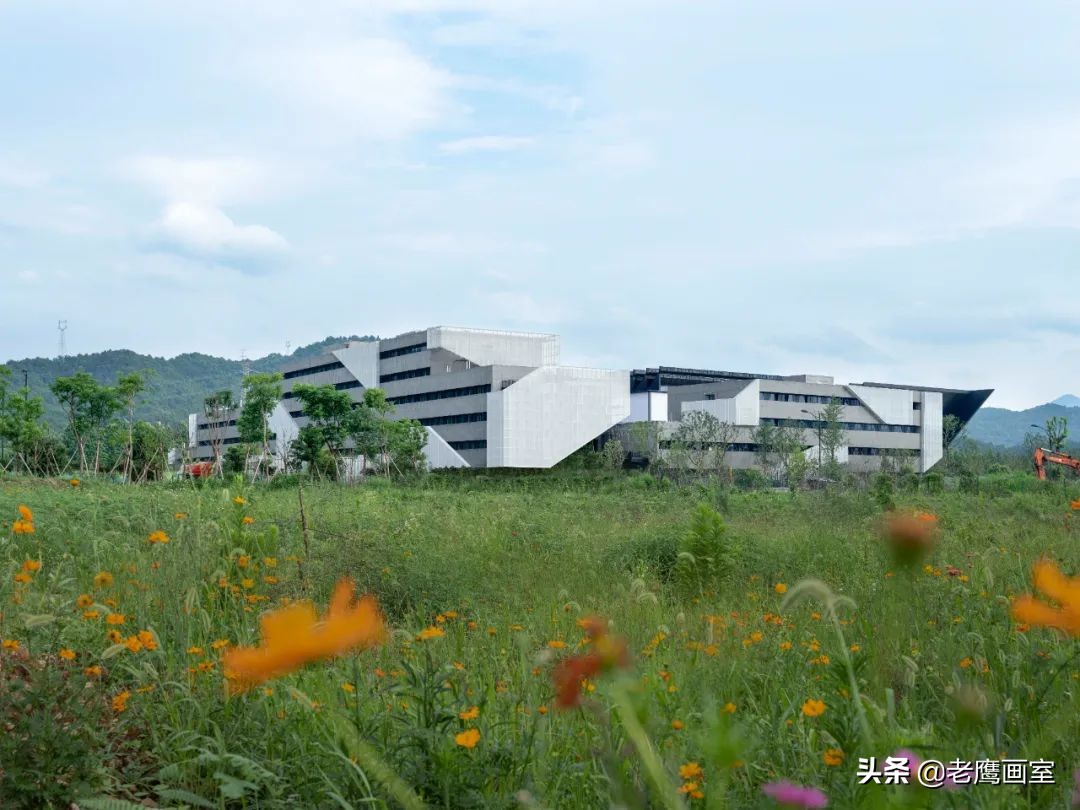 老鹰画室精品班和进阶班,成都老鹰画室和成都艺考画室