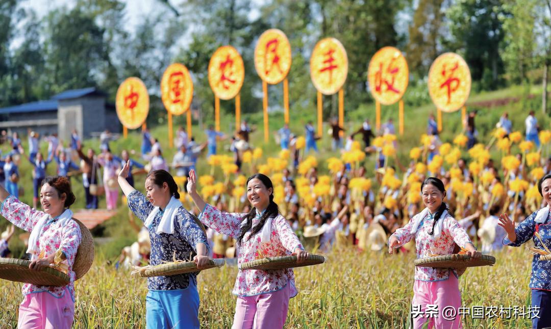 注重农耕文化与现代农业的衔接,农耕文化在休闲农业中的15种表现