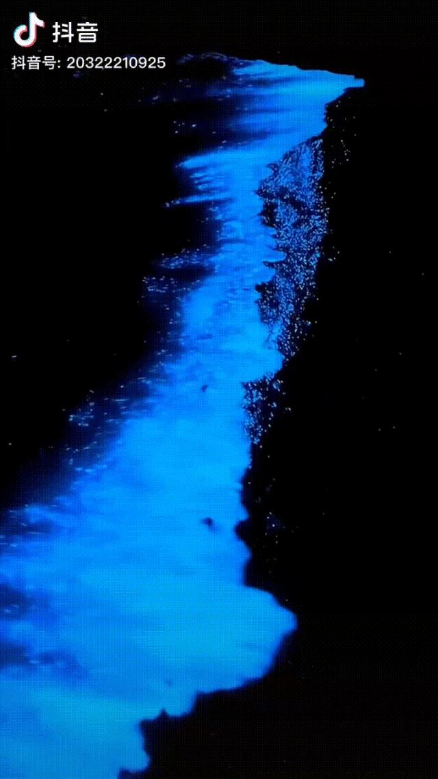 告别考试多年，他们为什么在抖音“重修”地理