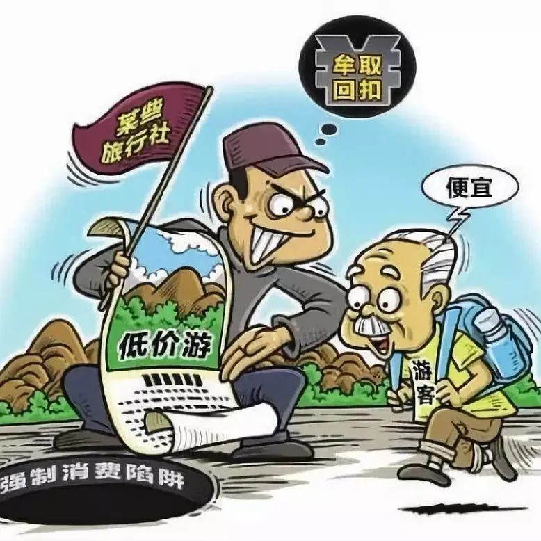 低价老年旅游团整治,打击旅游养老诈骗央视网