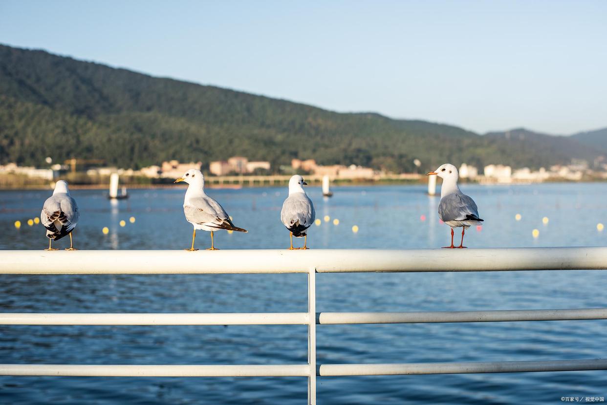 昆明本地人必去十大景点,昆明值得看的景点