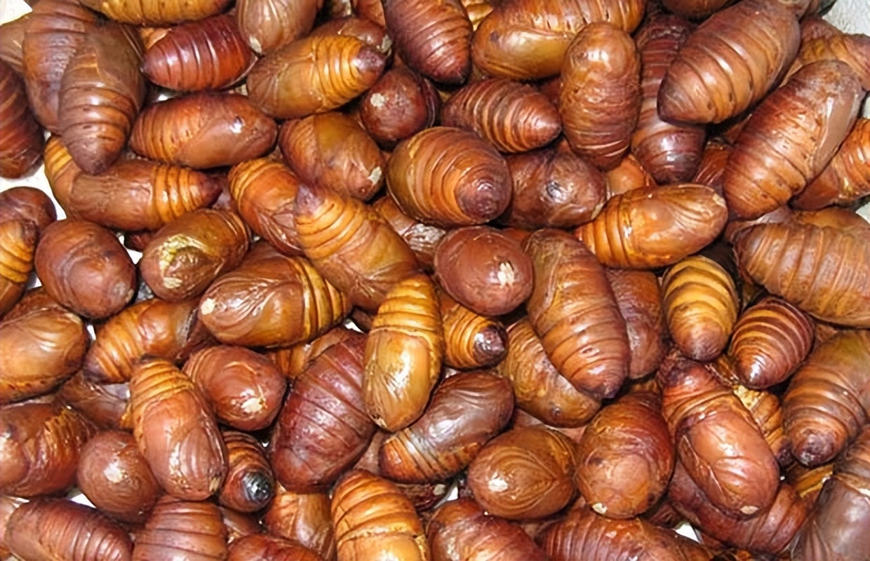 为什么孩子长个时，没人告诉我这些？妈妈哭诉女儿7岁就性早熟了