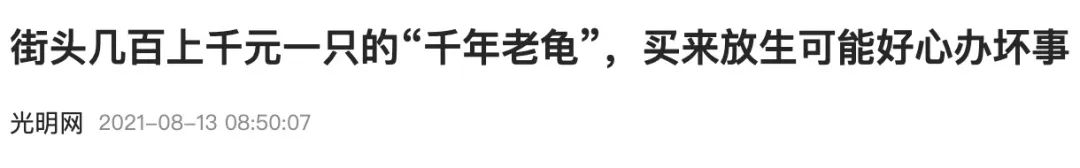 买了一只乌龟有什么预兆,路边800块钱买6只大乌龟