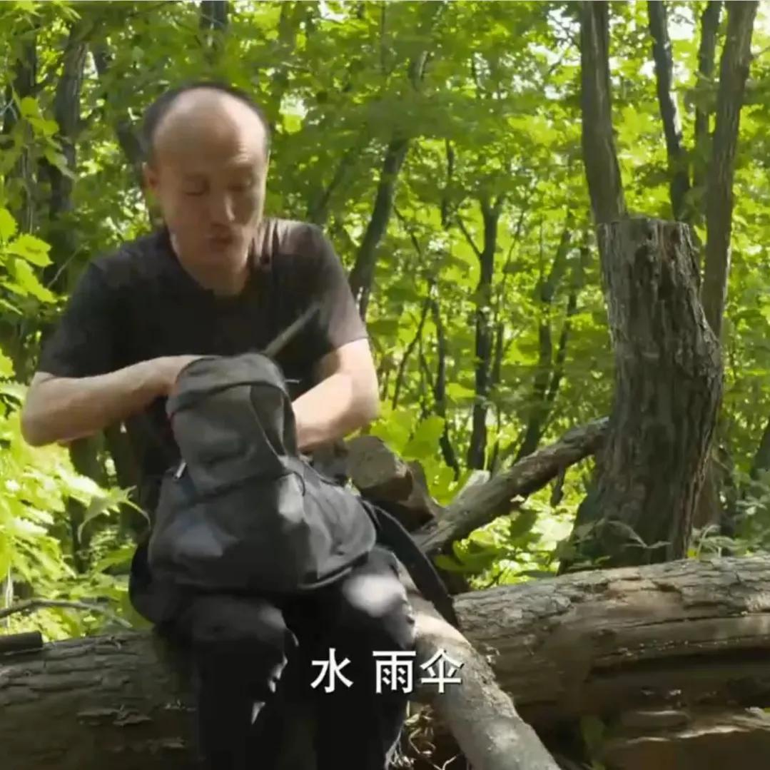 辽宁男子承包5800亩山林,靠种植林下参,如今一年收入上千万