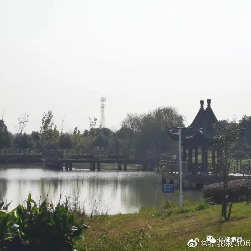 原来，在社交平台中，肥西的真实风景是这样的