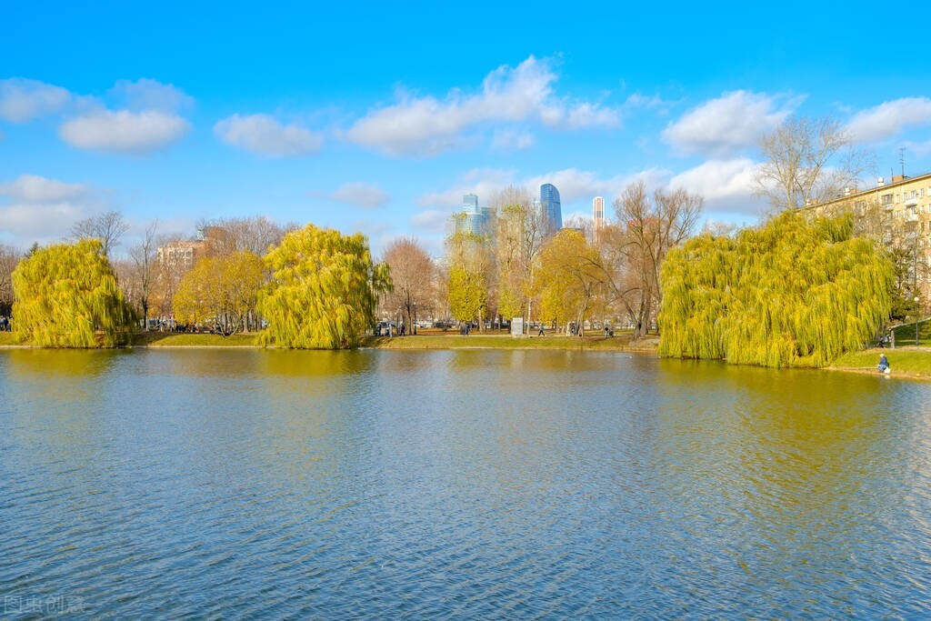 鱼塘养的鱼为什么会死,鱼塘里的鱼偶尔死一个是怎么回事