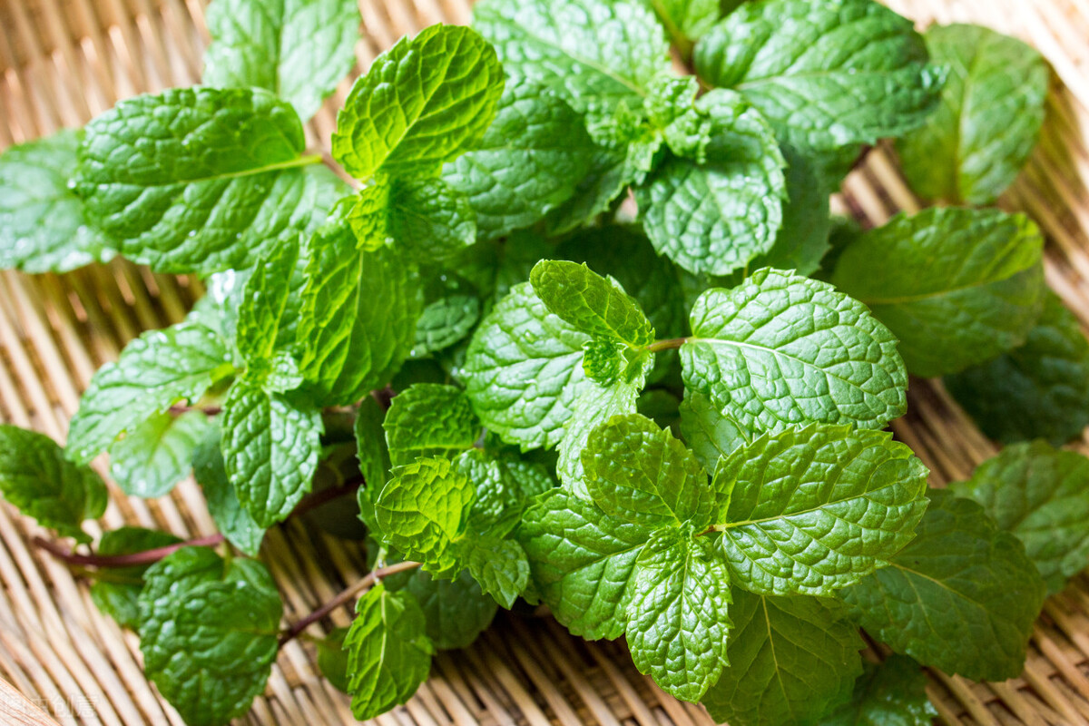 我在职场遇到不公平的事情怎么办,我在面试中遇见的奇葩事