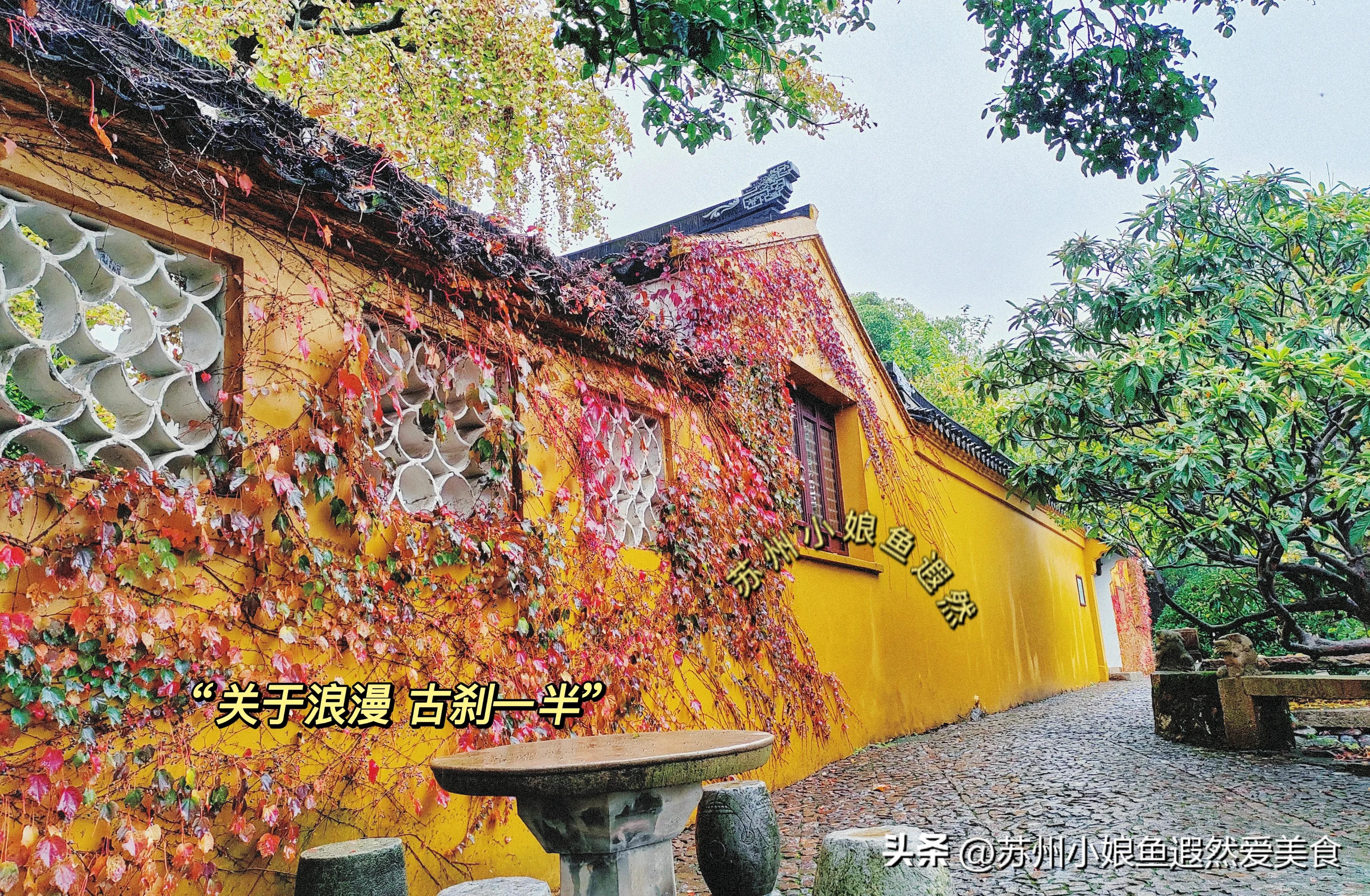 苏州一日游攻略探索更好玩的景点,苏州一日游景区推荐