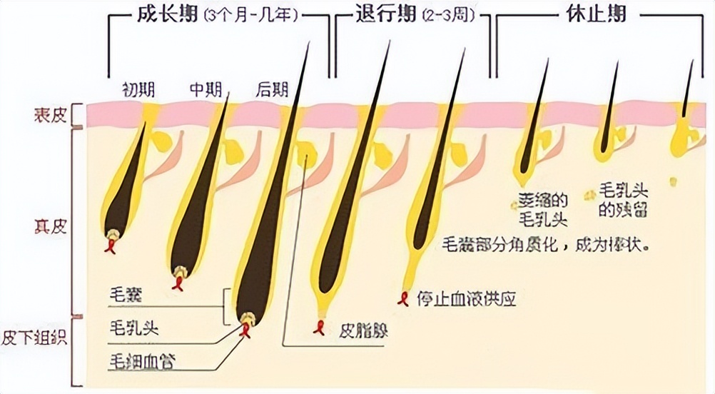 测评8款脱毛膏,八款脱毛产品测试