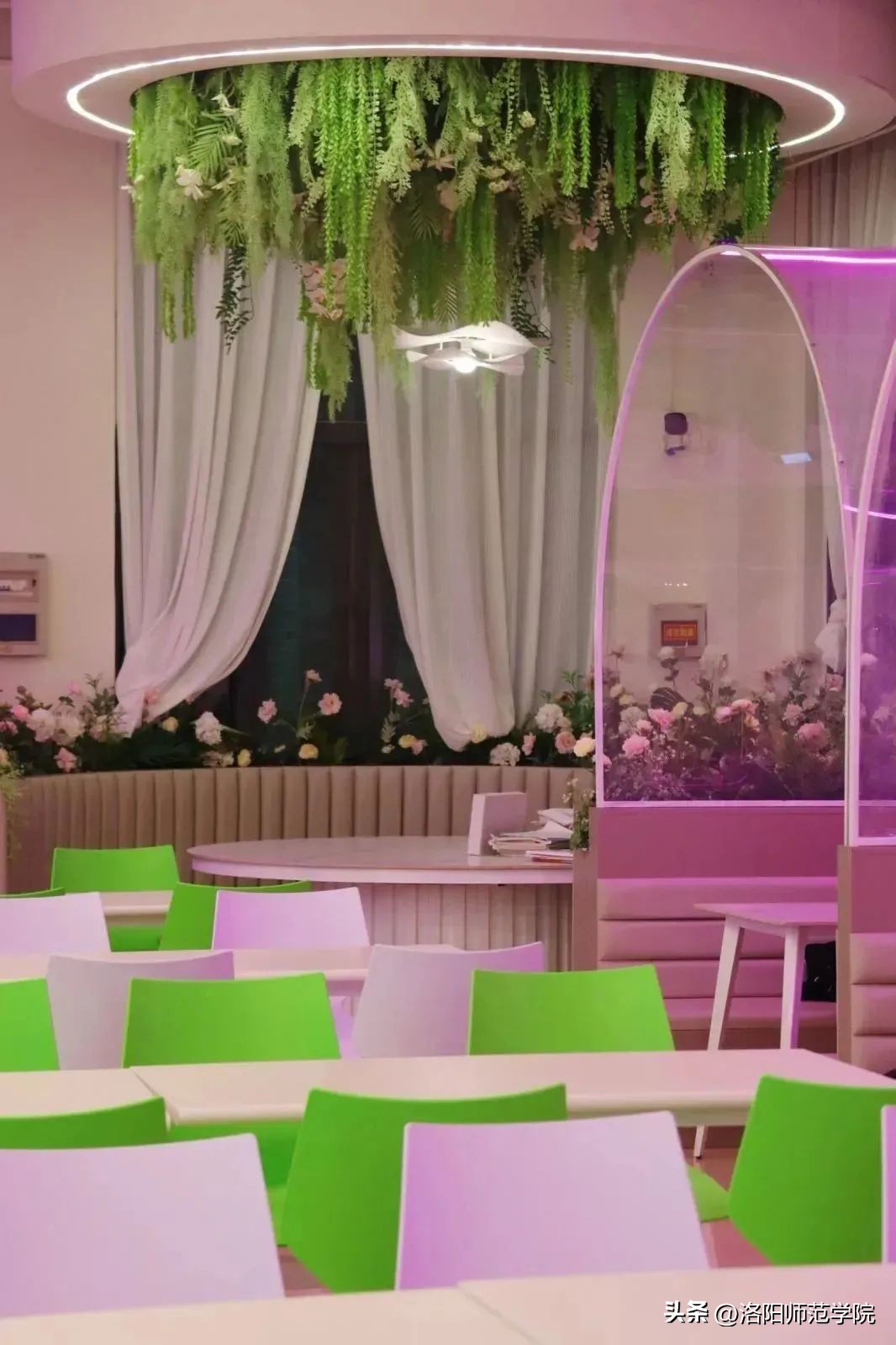 欢迎报考！选择洛师的N个理由