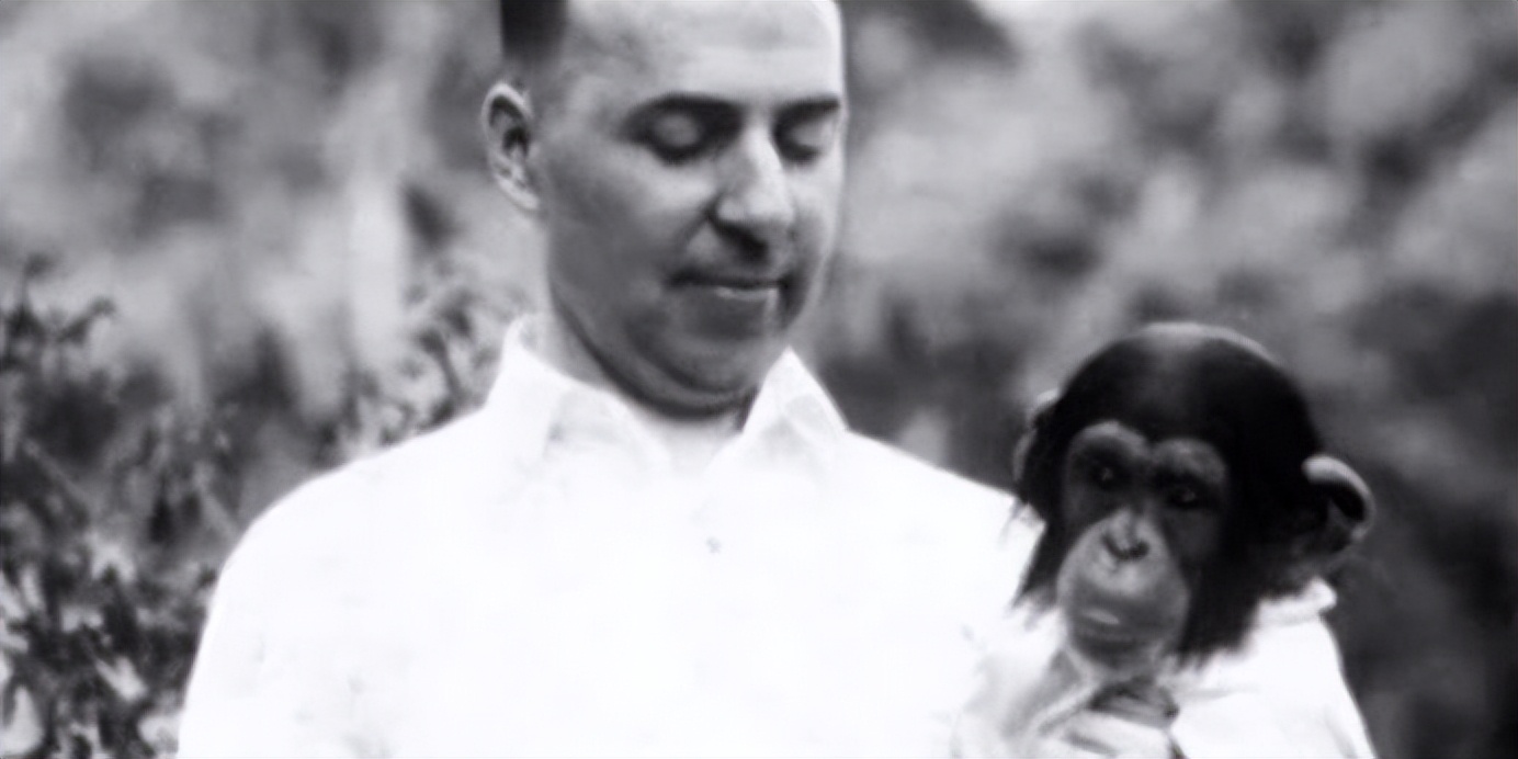 人类动物能混血吗,人类真的能杂交吗