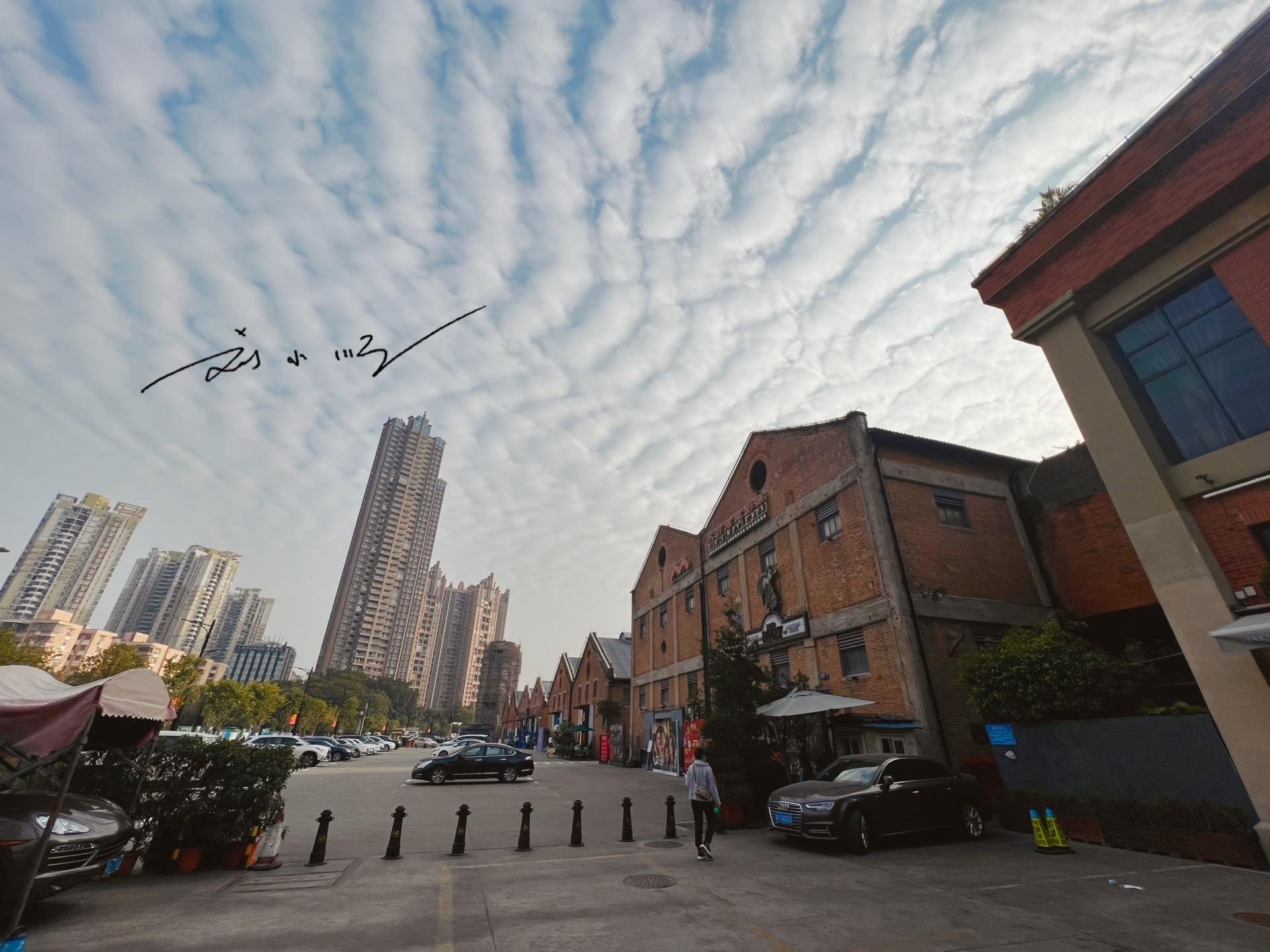 广州市为什么被称为羊城之都,真正的广州老市区