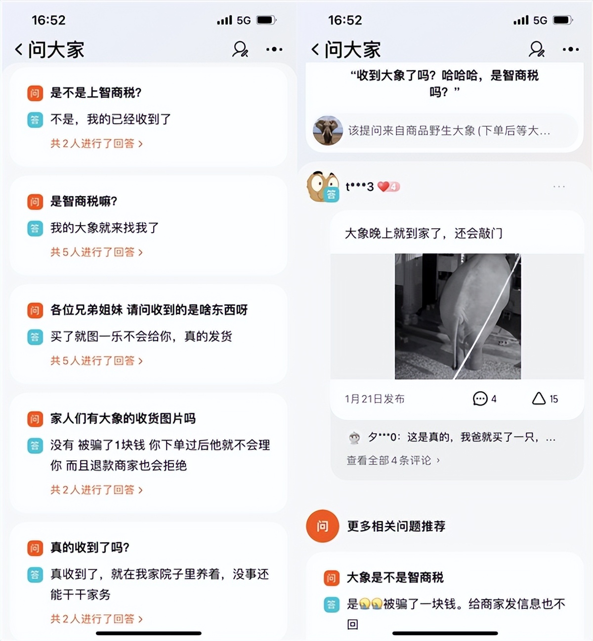 1元网购野大象,网购野生大象真的会走到家门口吗