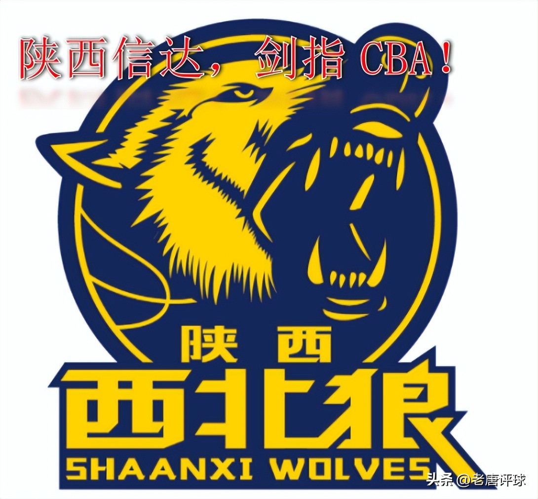 陕西篮球队有多强,陕西篮球队cba