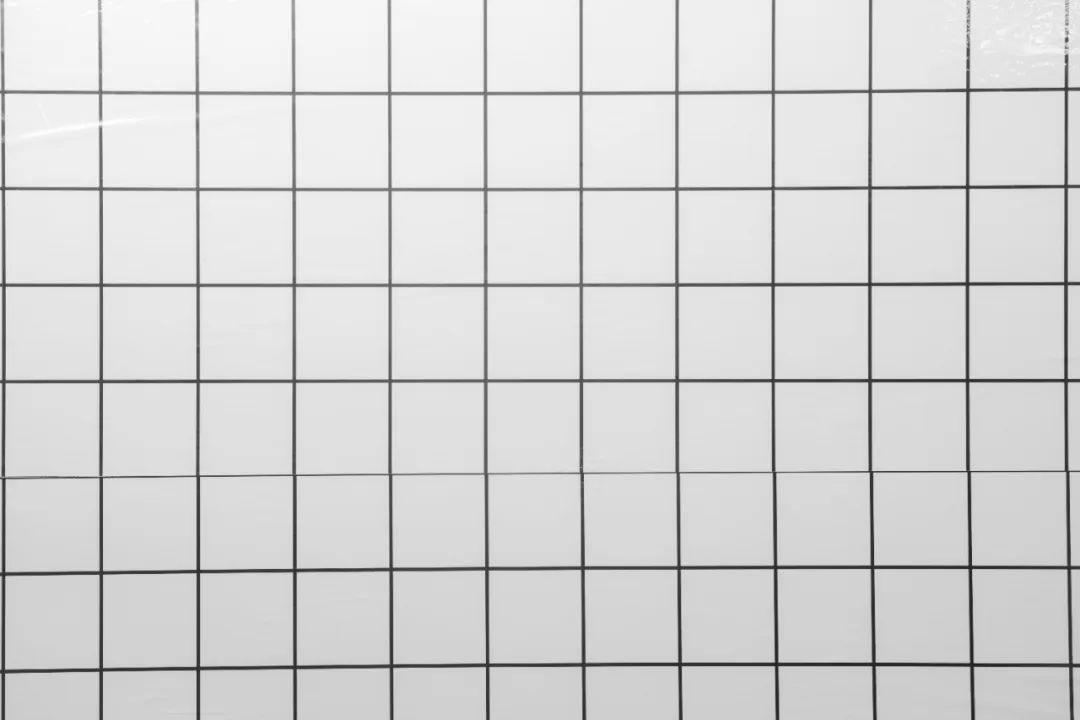 老蛙9mm全画幅镜头评测,老蛙100mmf2.8与2.9微距镜头