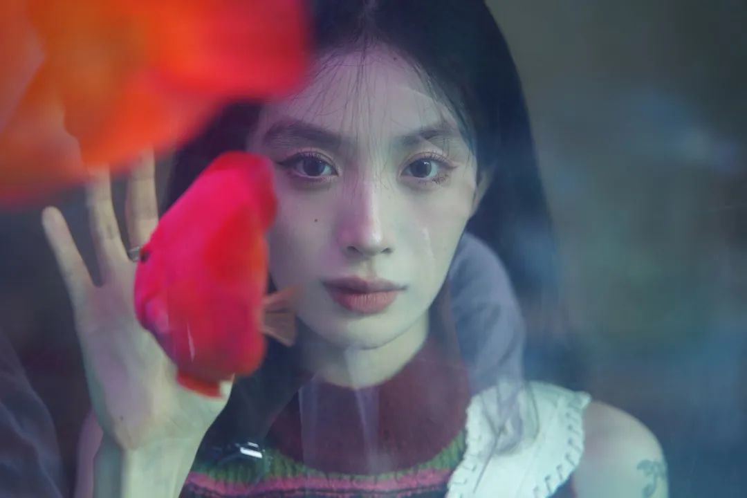 来自五湖四海的大学生摄影爱好者们，在拍些什么？