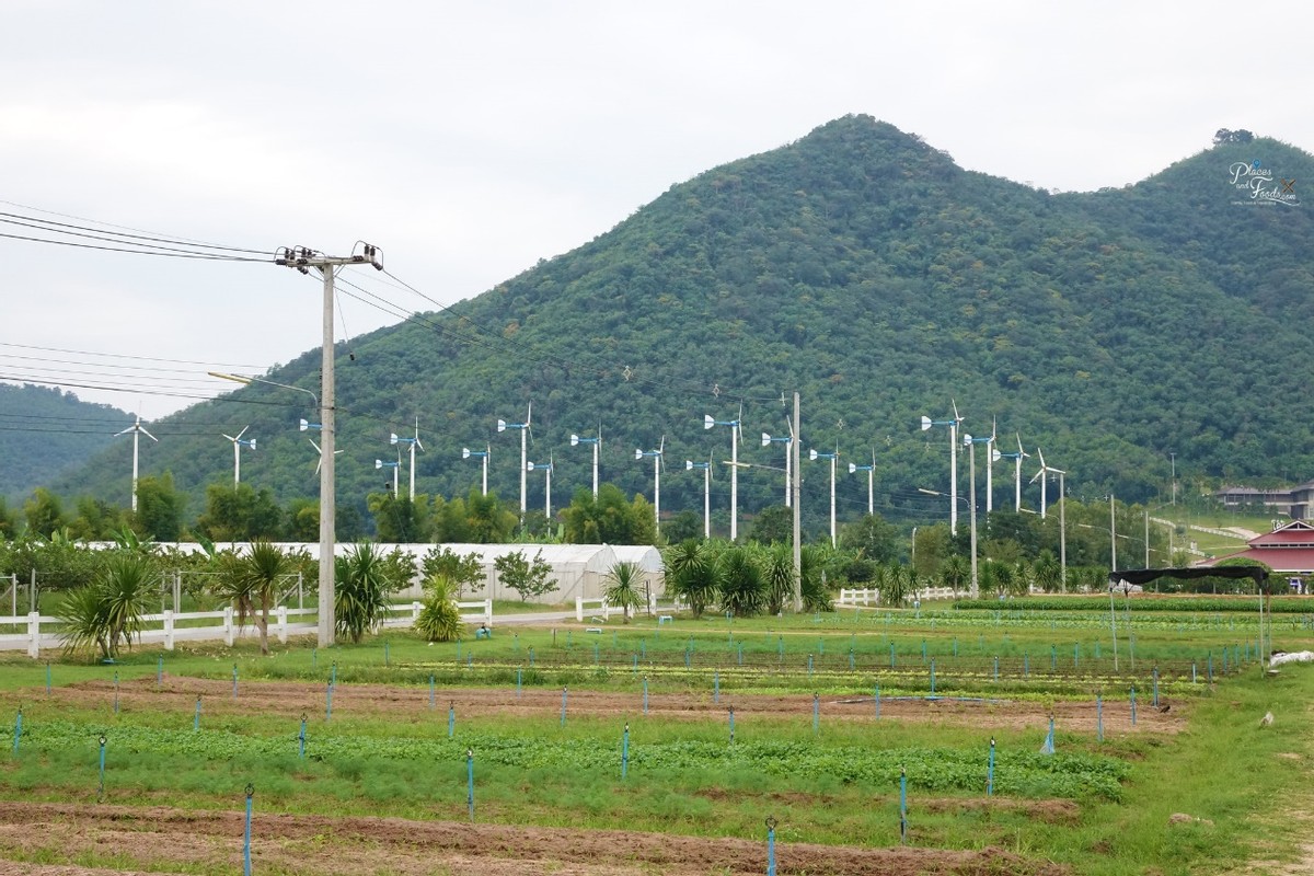 泰国景点暹罗古城,泰国暹罗旅游景点