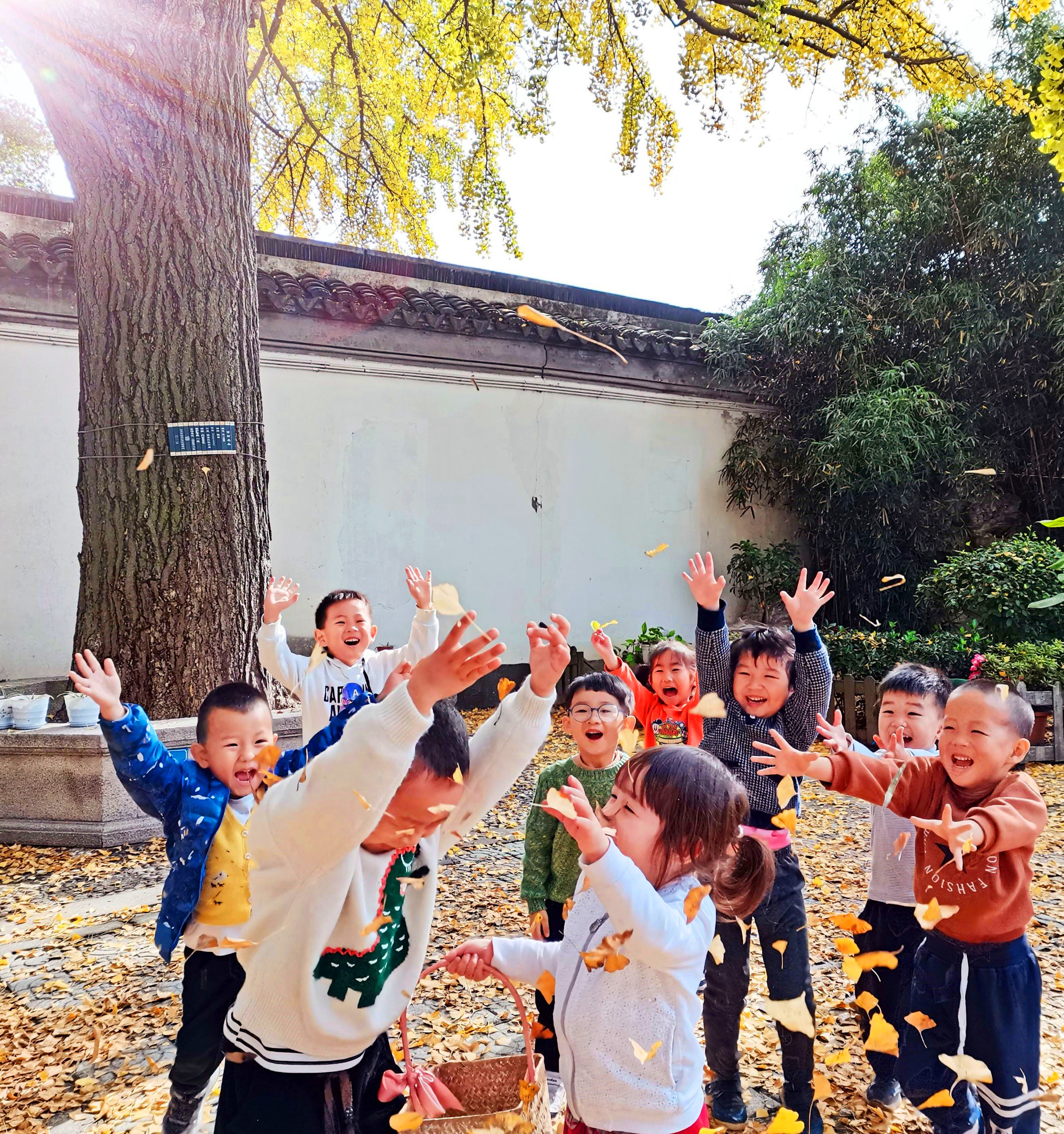 和孩子一起玩银杏叶,银杏叶和小朋友互动