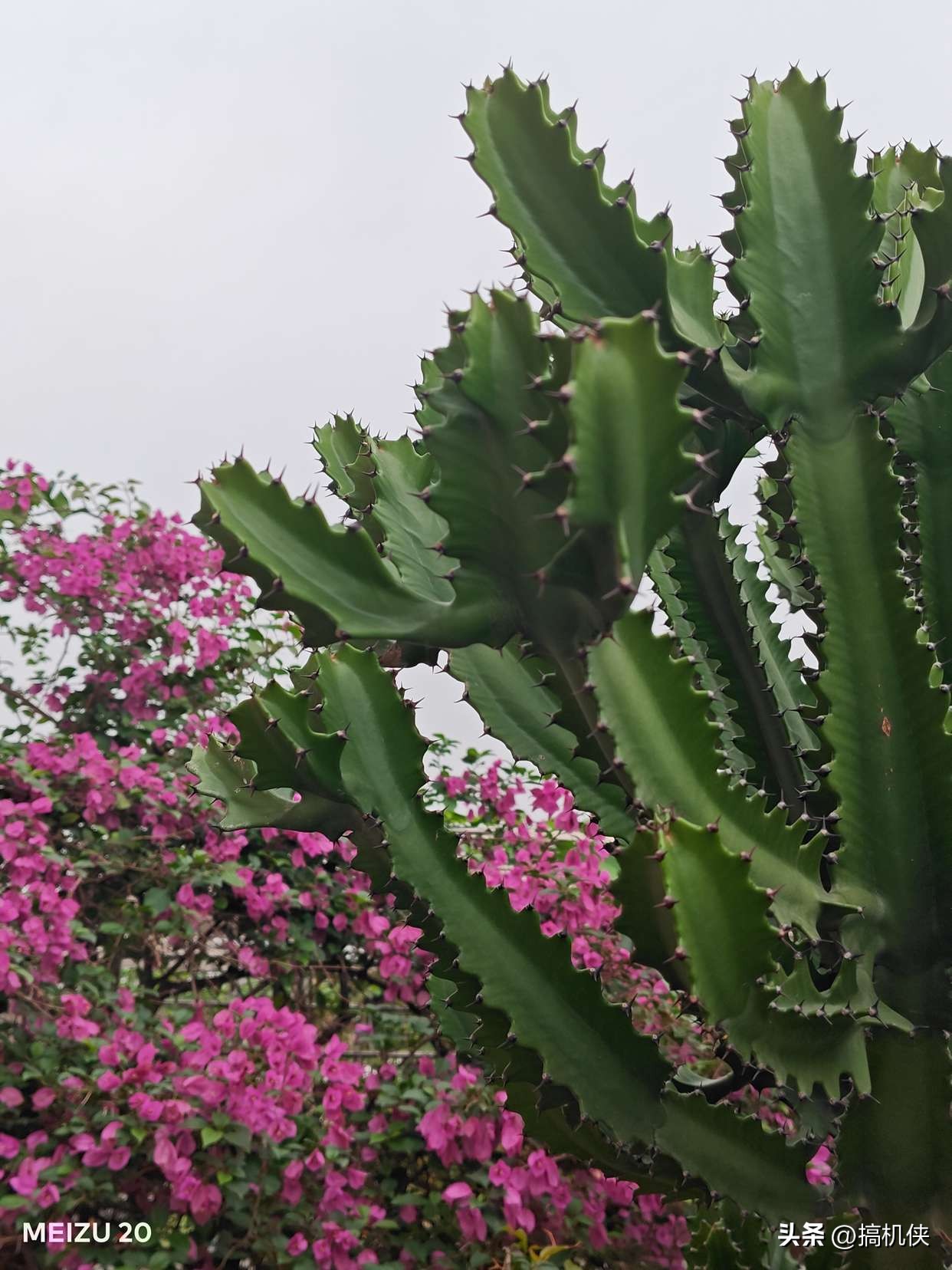 还是那个扣细节的魅族，Flyme带来不一样的体验，魅族20上手实测