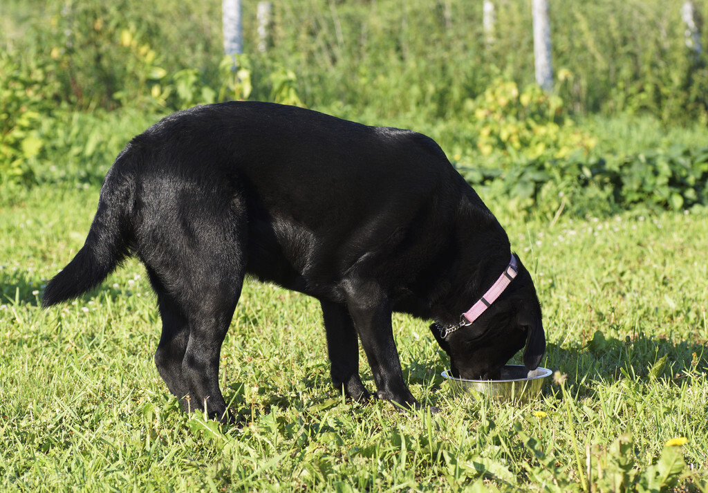 眼睛看不见有多可怕,眼睛看不清事物是怎么回事