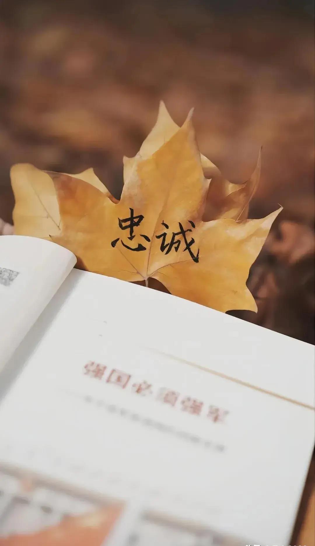 转业军士的档案审查内容,2023年军士转业档案审核标准