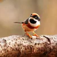 儿时电子灯笼,儿时过年灯笼