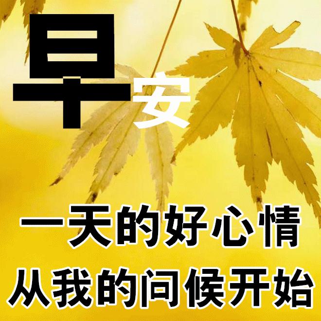 12月8日早上好,早安祝福语美好的一天从问候开始