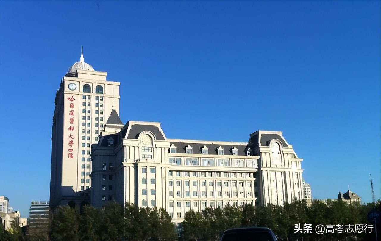 哈医大2020录取线临床医学,哈医大录取分数线2020年