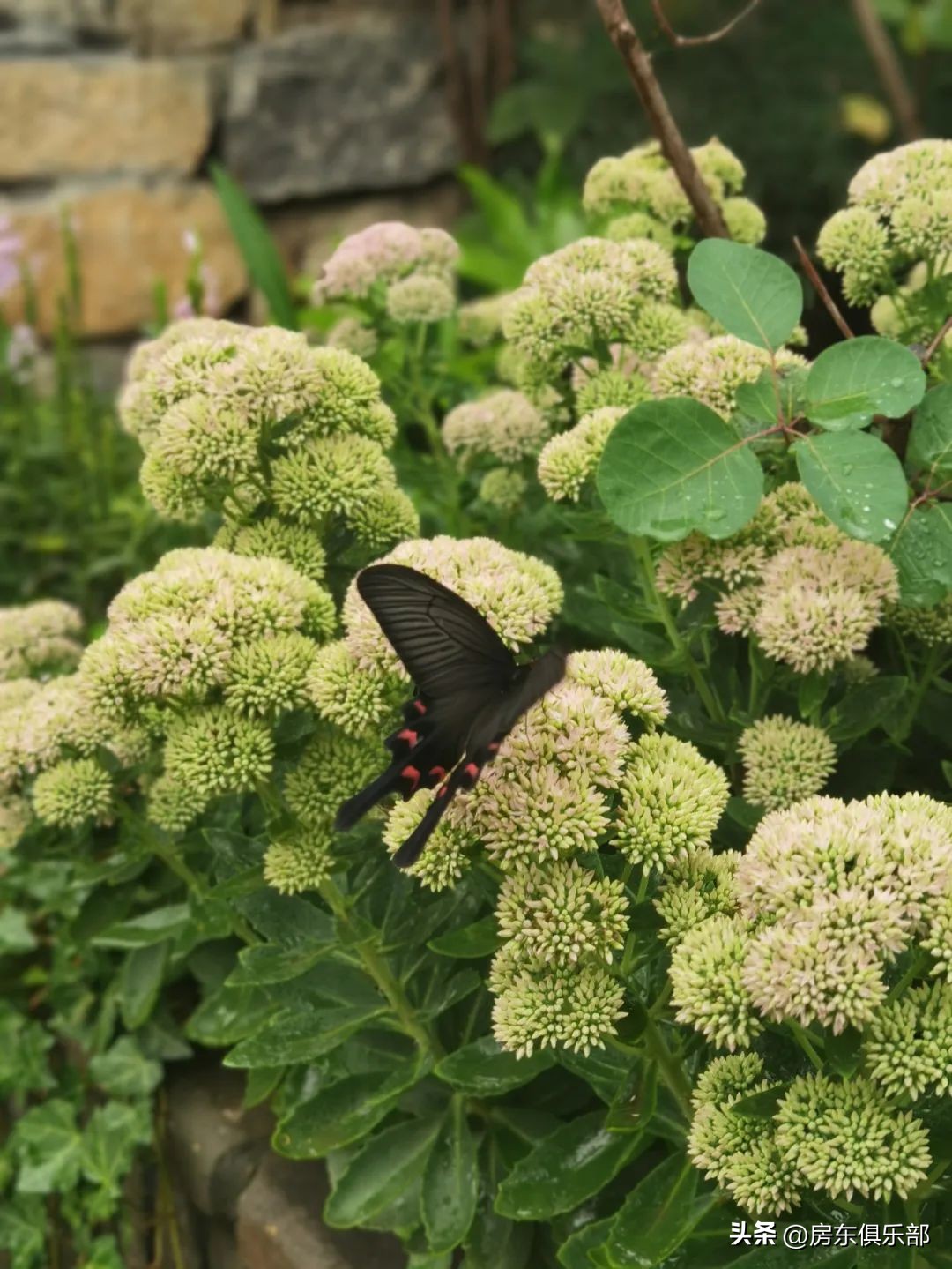 北龙湖在售楼盘有哪些最新,北龙湖还值得买么