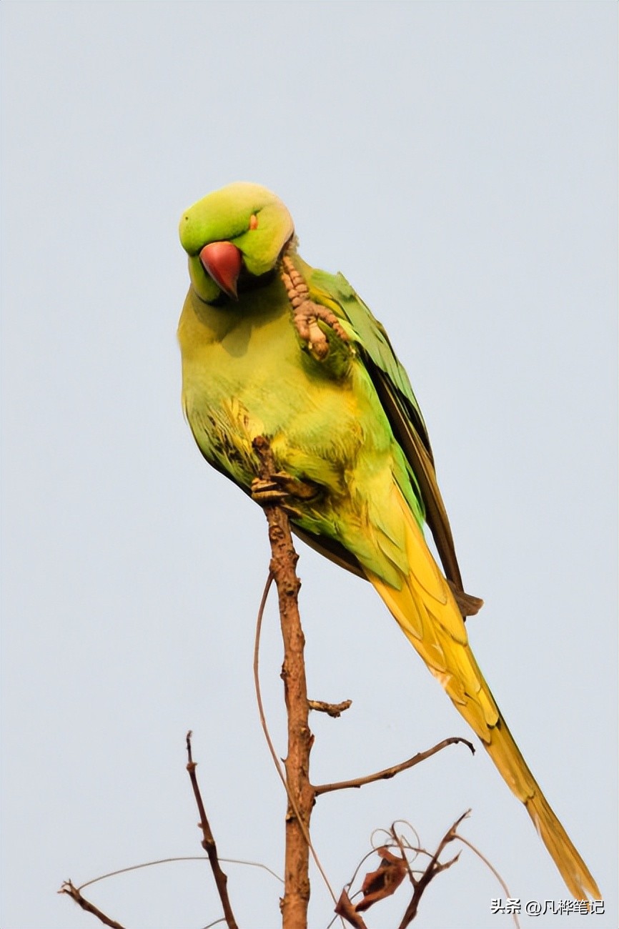 照片怎么校准皮肤白平衡,后期照片白平衡