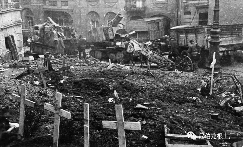 好收吾骨瘴江边全诗,好收吾骨瘴江边翻译