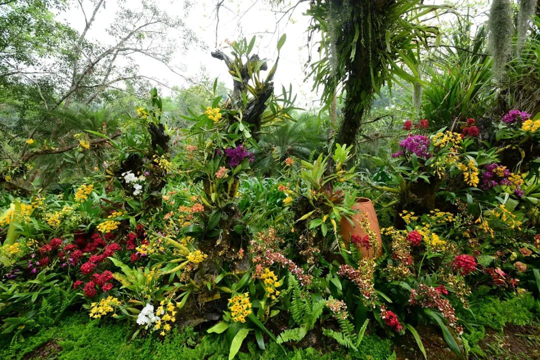 东南亚风情版纳攻略,西双版纳东南亚游