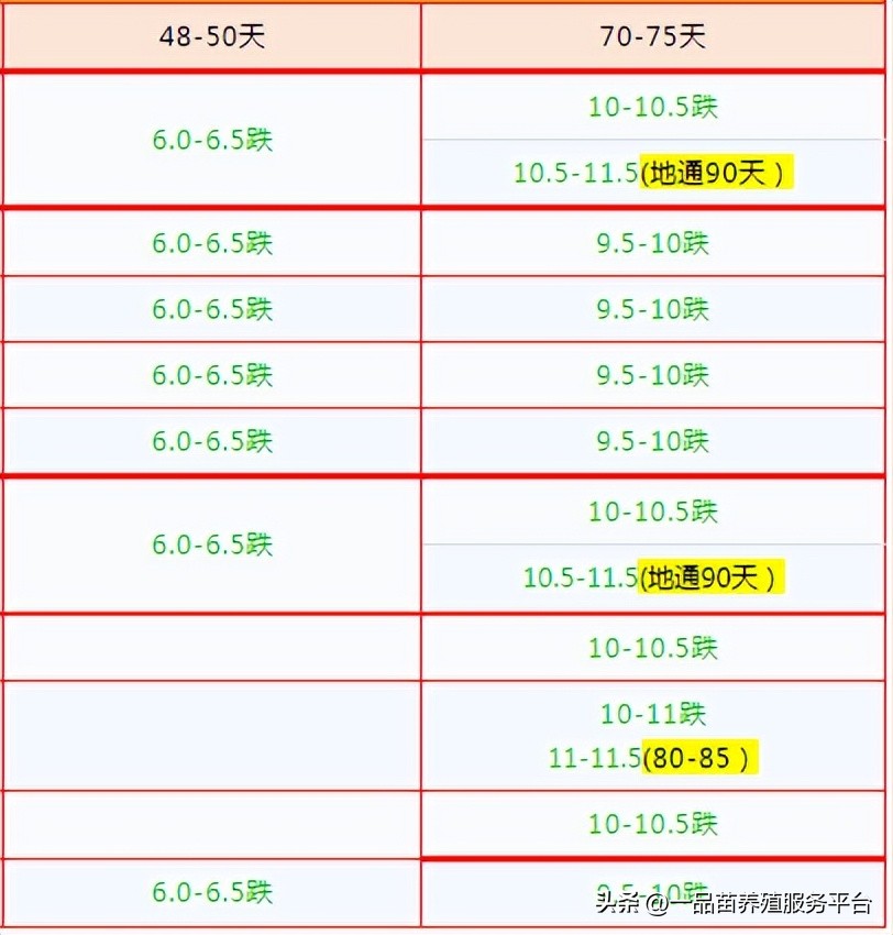 鹅价格暴跌还能养吗,鹅价跌了吗