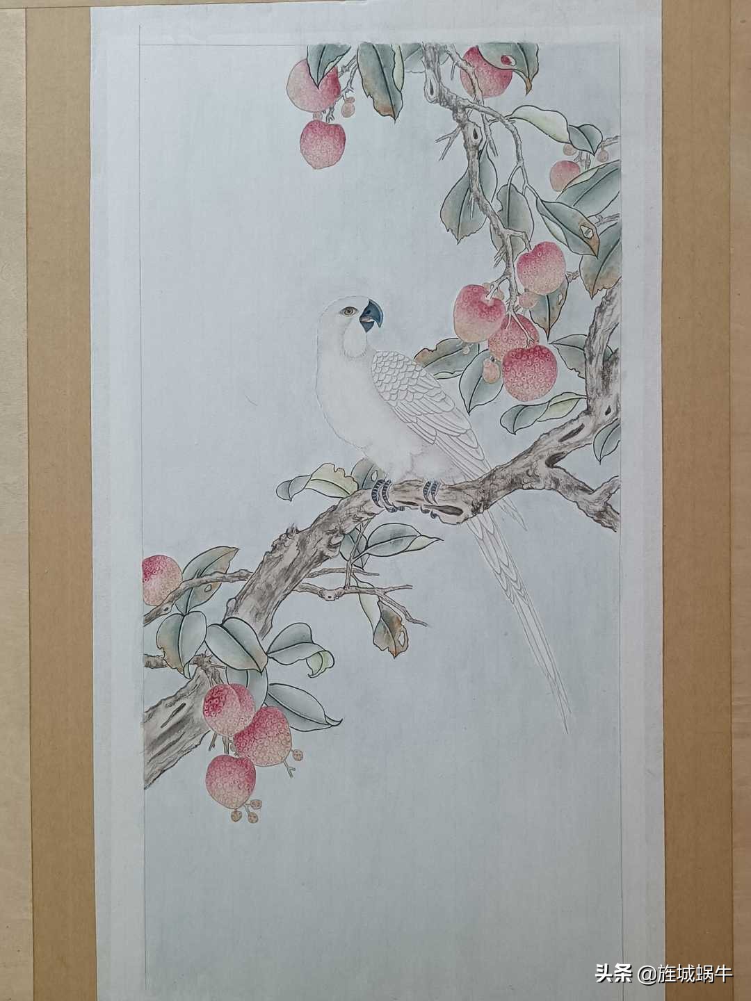 画者笔记|荔枝鹦鹉图绘制记录