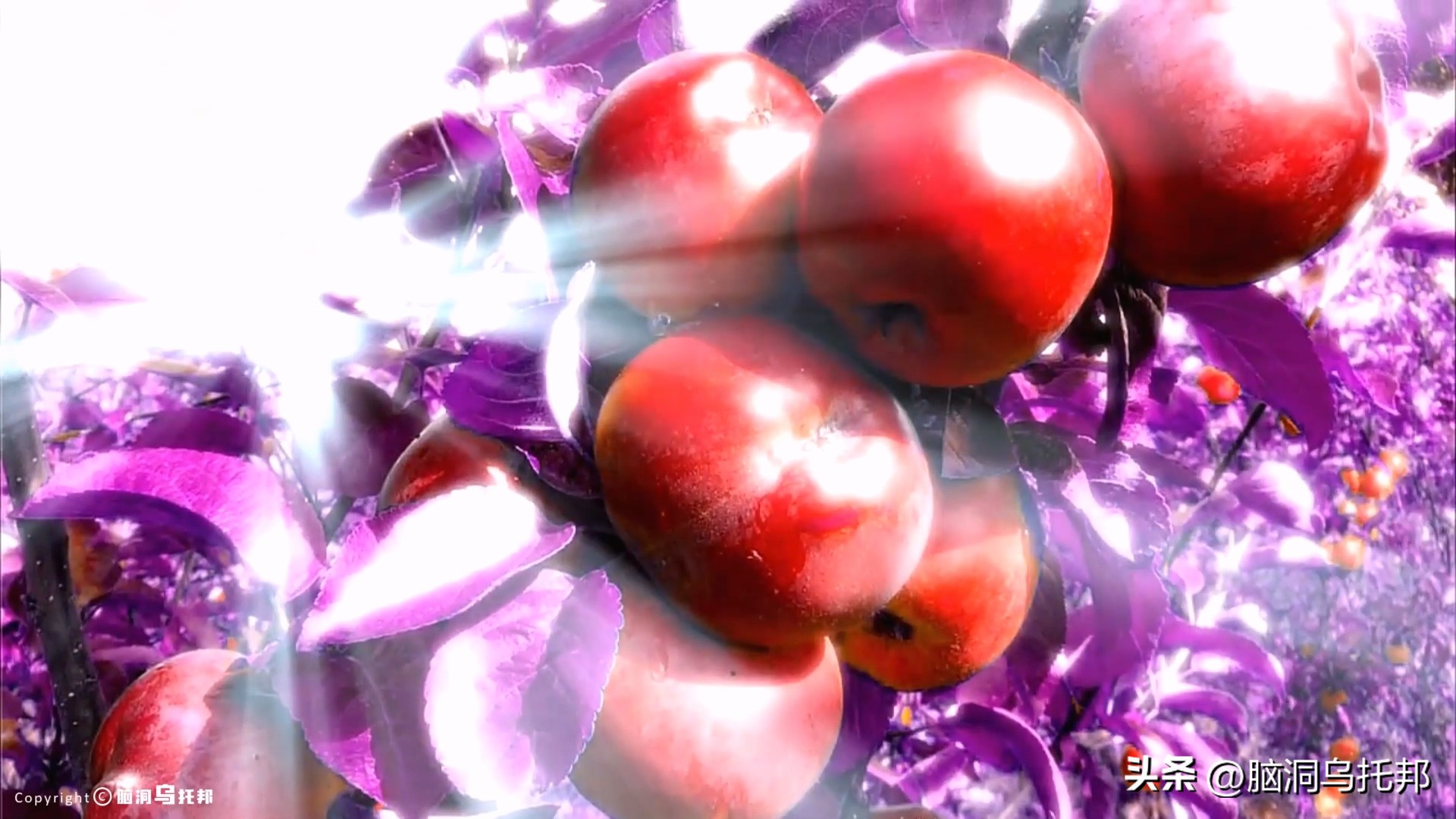 天使为何如此狰狞?末日审判的真相!上帝才是毁天灭地的终极boss？