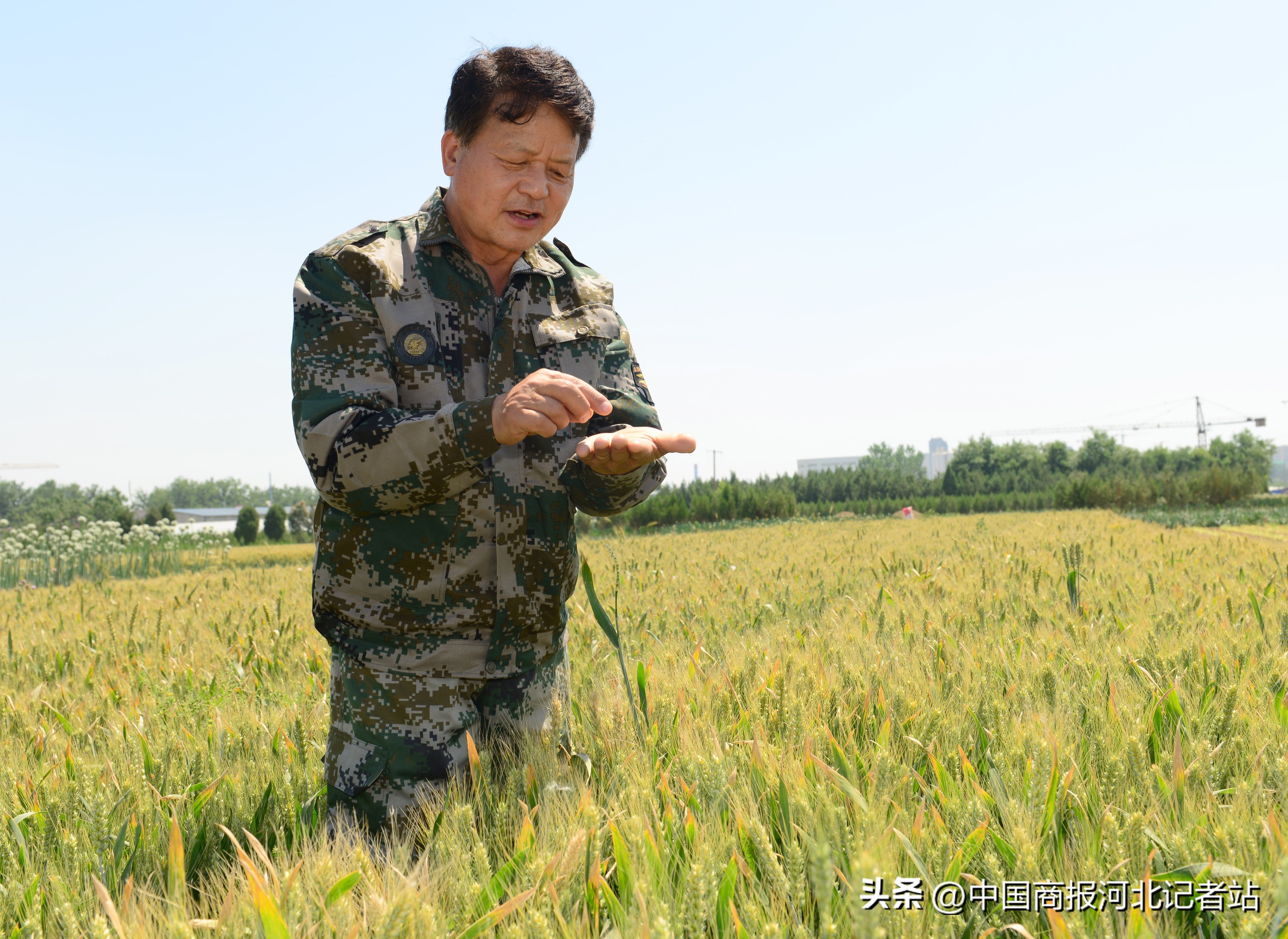 大校村官石炳启平凡岗位再立新功,大校村官石炳启的一天