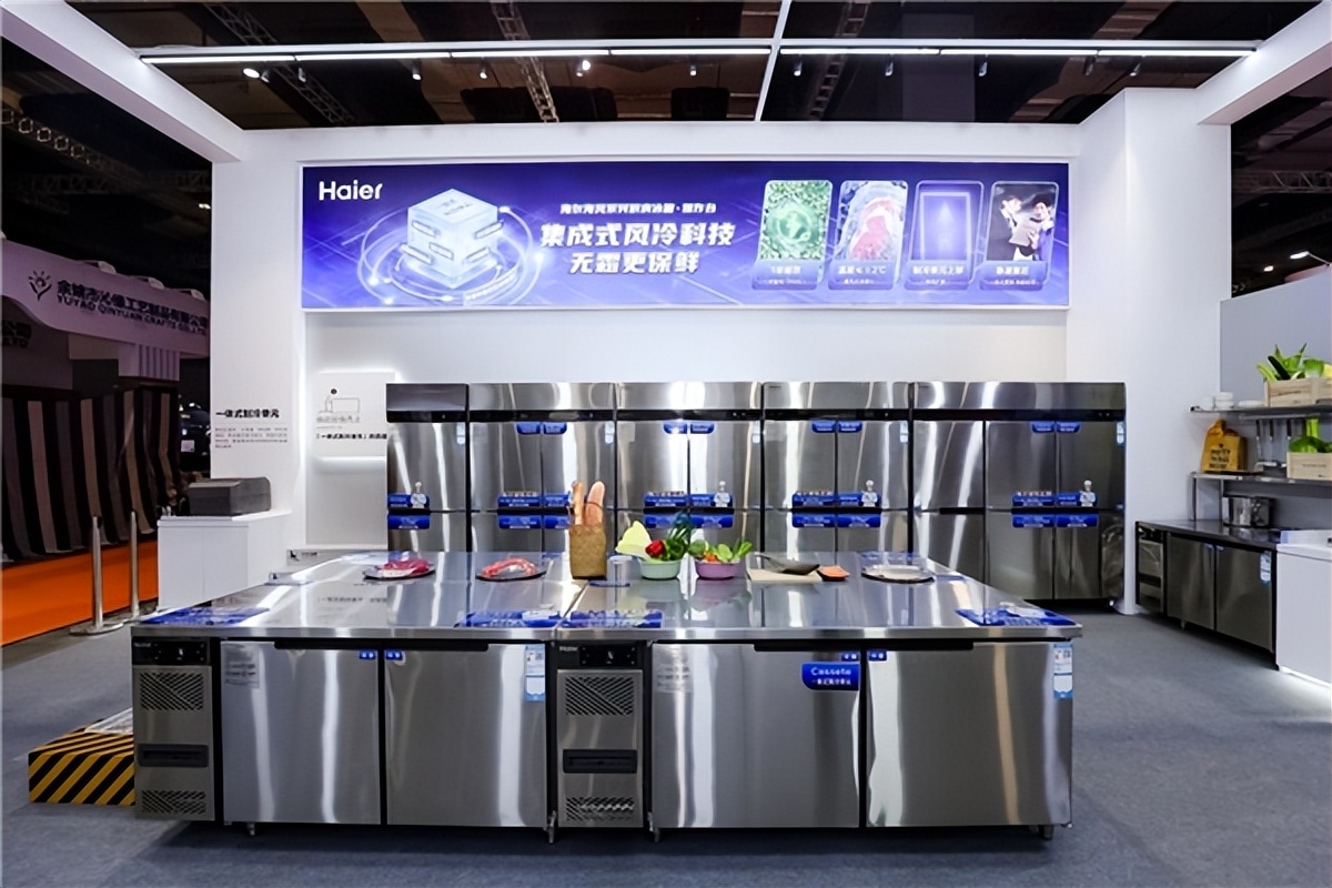一级能效海尔冷柜,海尔冷柜哪个型号最好