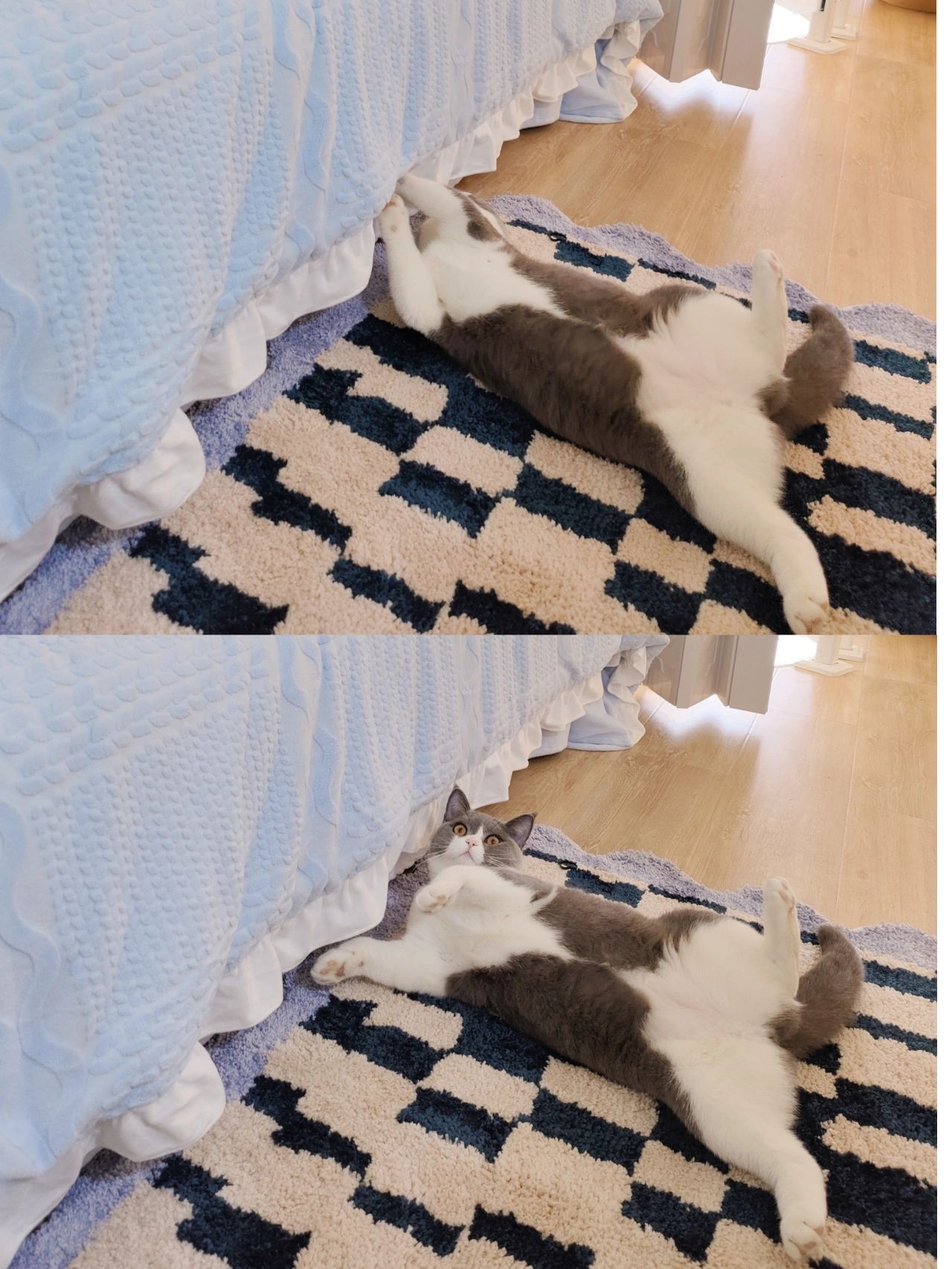 复式公寓镂空设计,镂空公寓设计