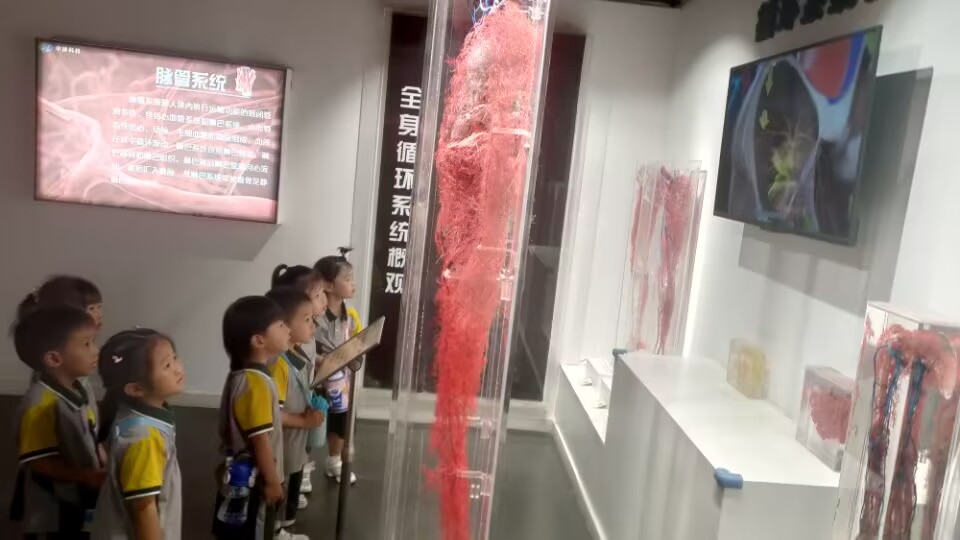 端午节郑州周边避暑游玩推荐景点,端午郑州附近游玩景点推荐一日游