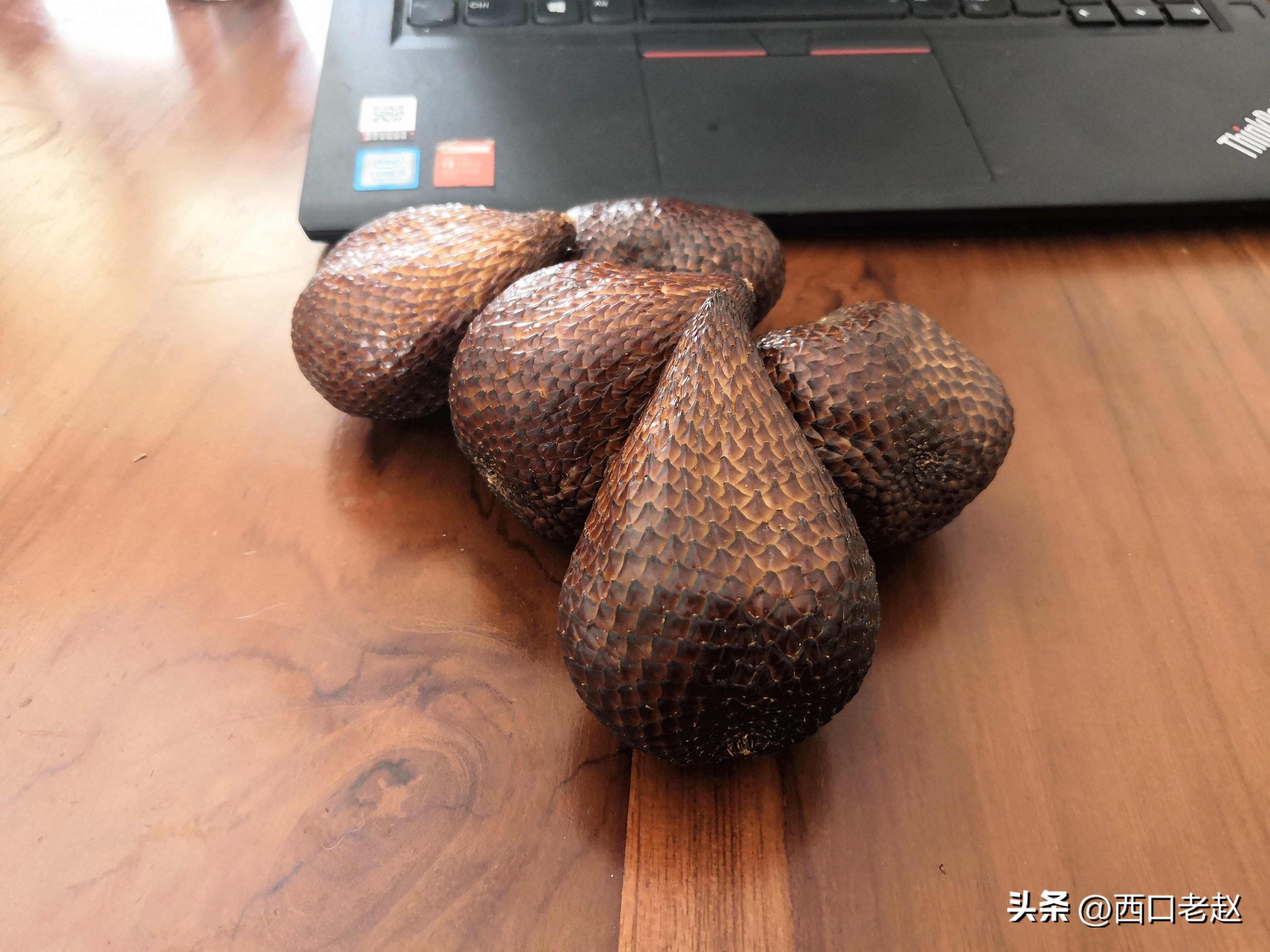 行走在国外的岁月33——致敬我的海外生涯