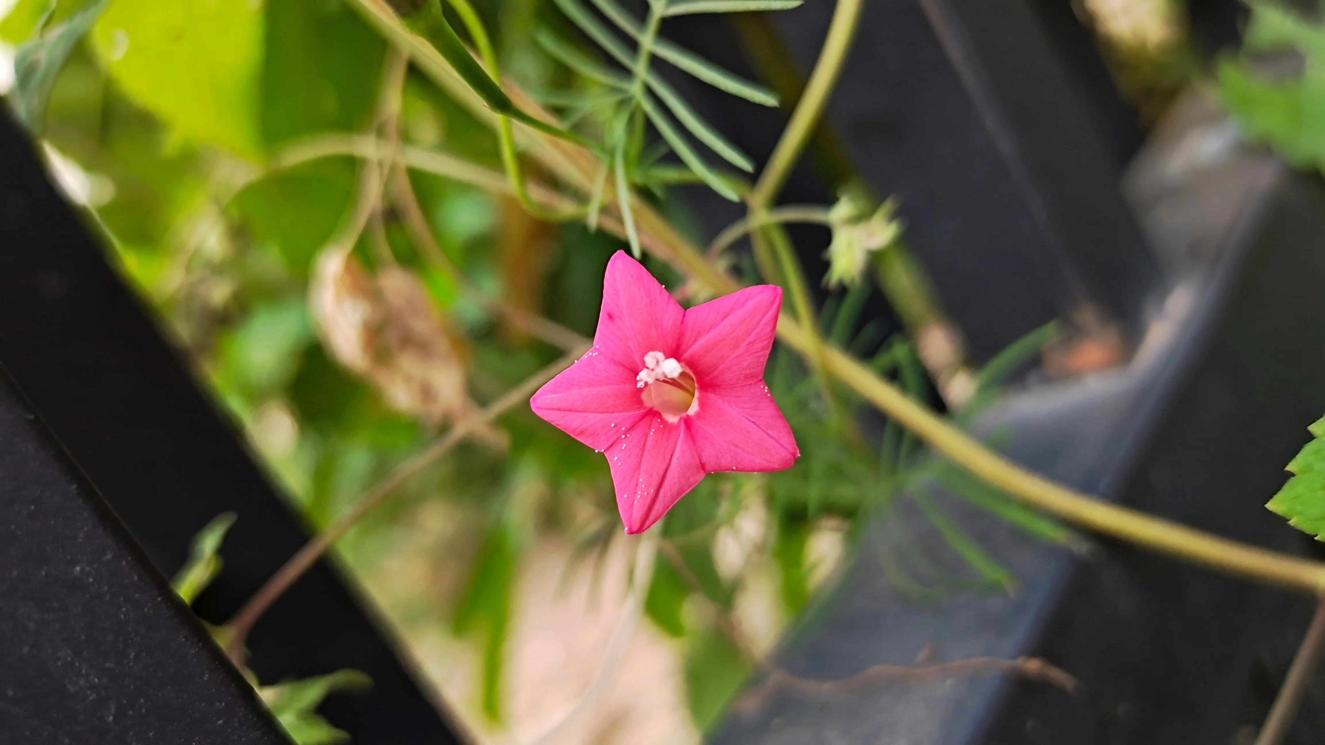 念念不忘必有回响的意思,念念不忘必有回响么