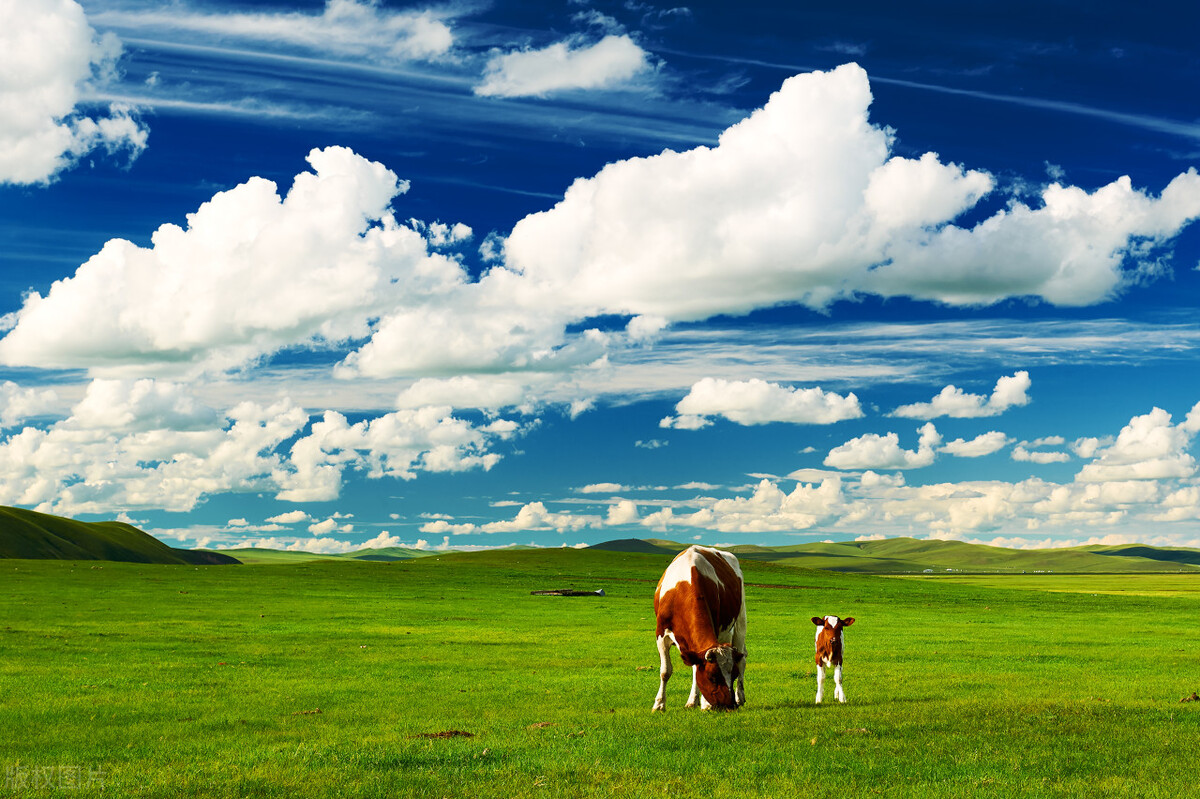 中国自驾游十大必去景点,世界公认十大绝美景点中国景点
