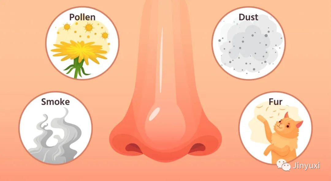 化妆过敏是怎么样的,化妆品过敏后用什么补水护肤