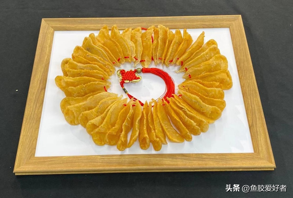 直播鱼胶攻略,直播间鱼胶推荐