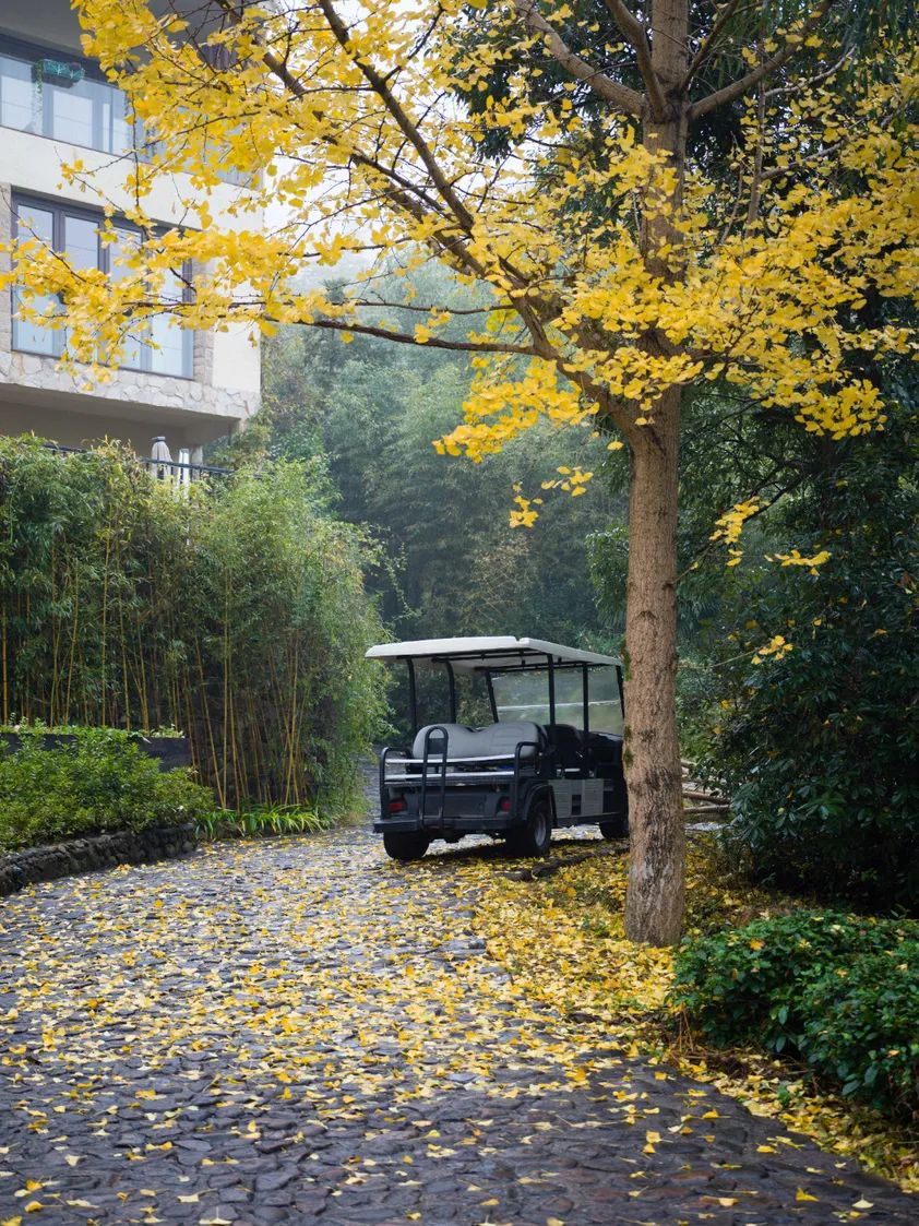 莫干山民宿天花板体验之旅,藏在莫干山间的民宿真的太美了
