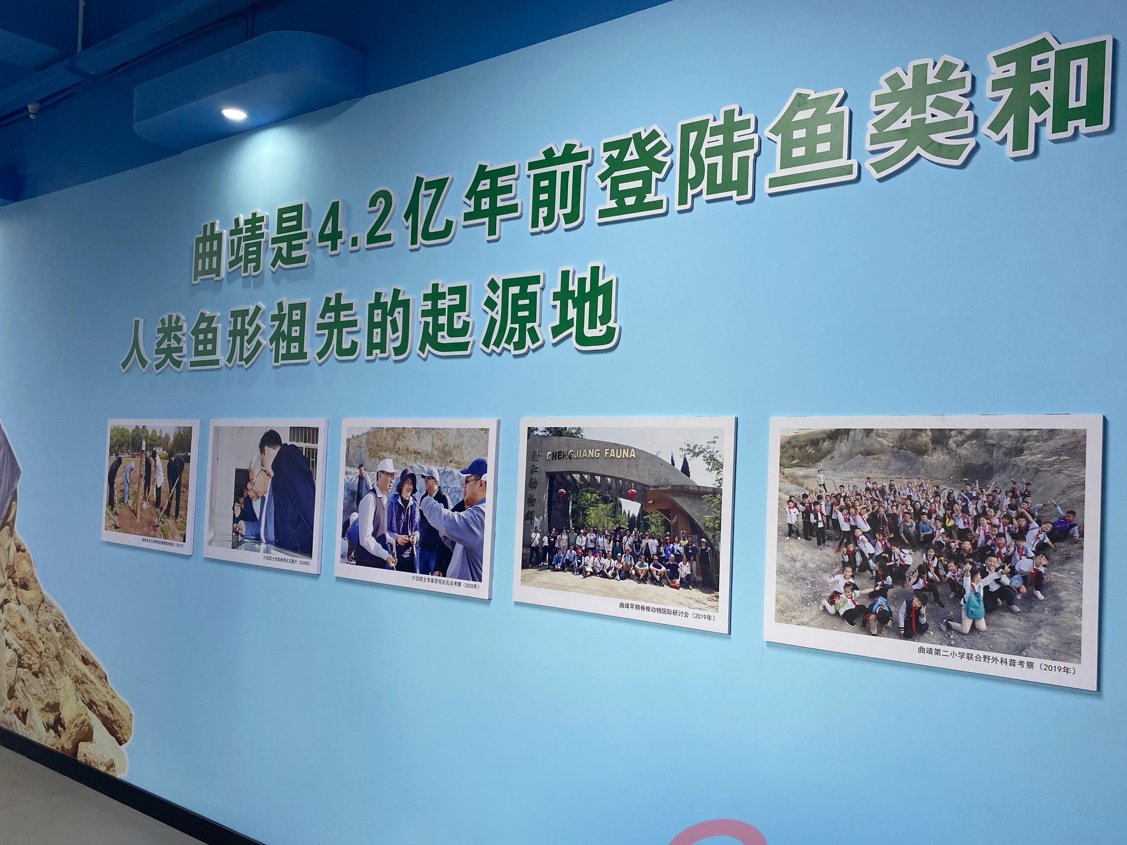 云南5亿年前鱼化石,中国远古鱼类化石