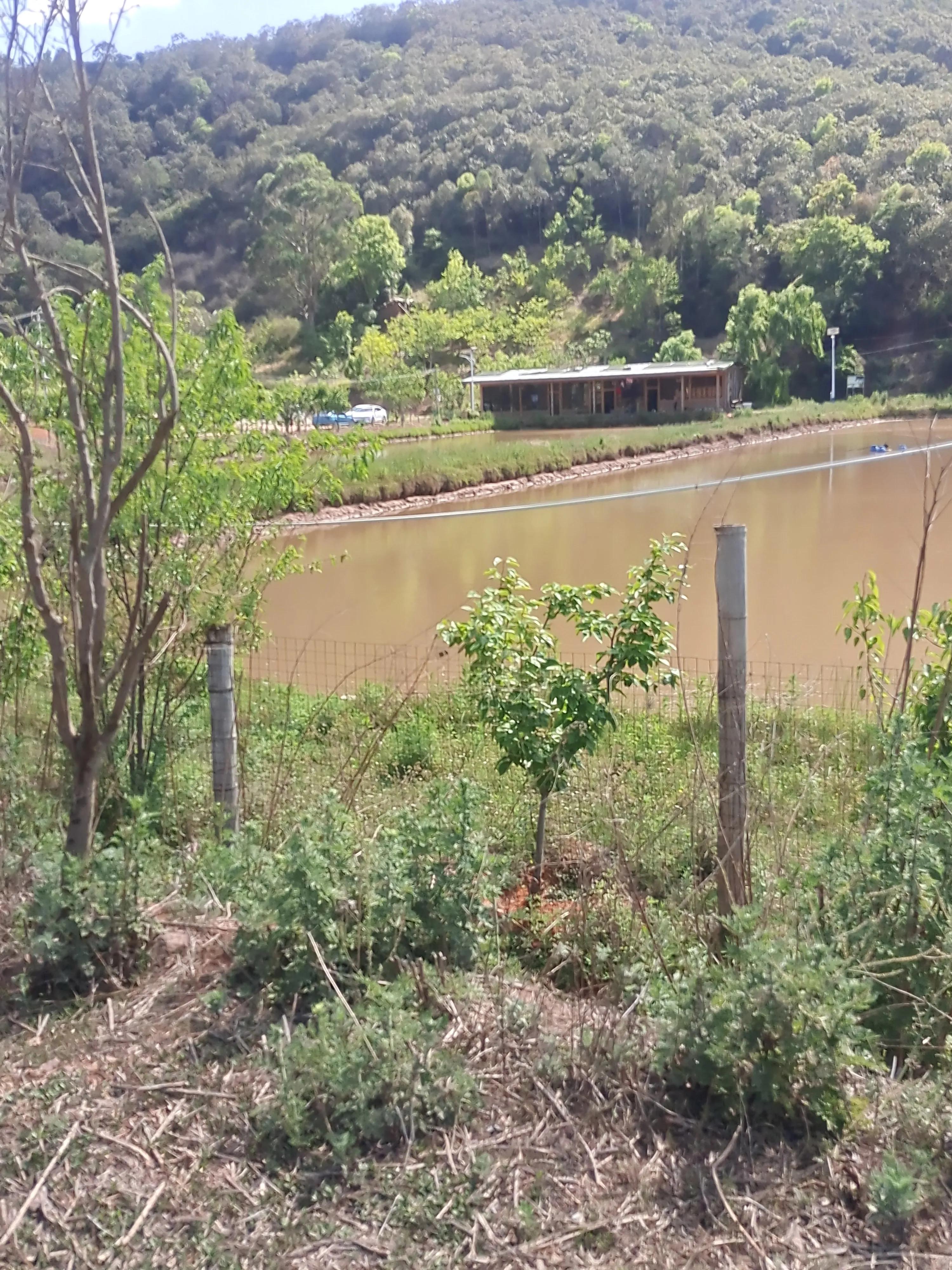 基本农田改成鱼塘手续,农田改鱼塘再建房是什么操作