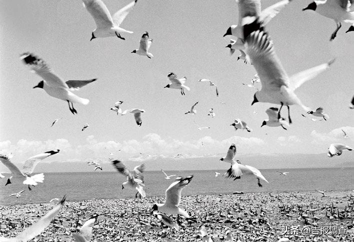 ​寓教于光影，启智又好看的长影经典科教片